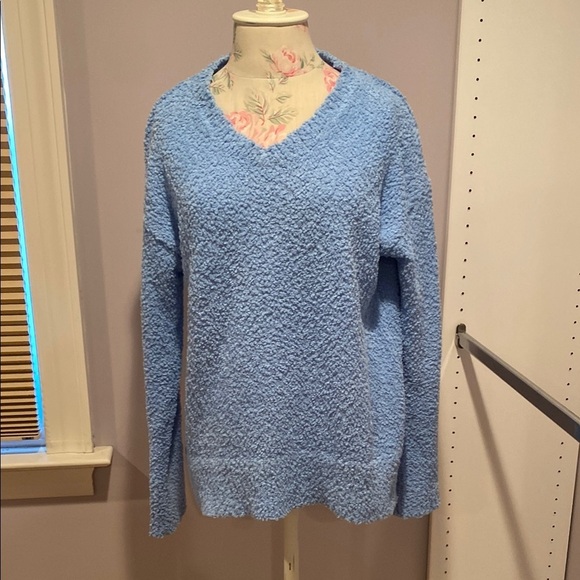 Sanctuary Blue V-Neck Sweater with Textured Knit - Picture 1 of 10
